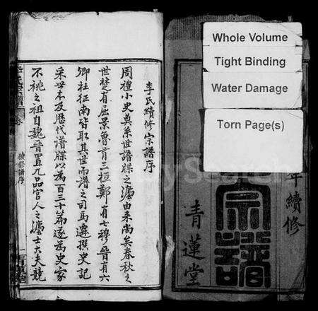 湖北李氏族谱-李氏续修宗谱 [48卷,首5卷](别名：楚黄李氏宗谱、李氏宗谱).pdf电子版预览图2