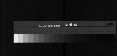 湖北廖氏族谱-廖氏宗谱 [26卷,首4卷](别名：黄冈廖氏宗谱、Liao Shi Zong Pu).pdf电子版缩略图