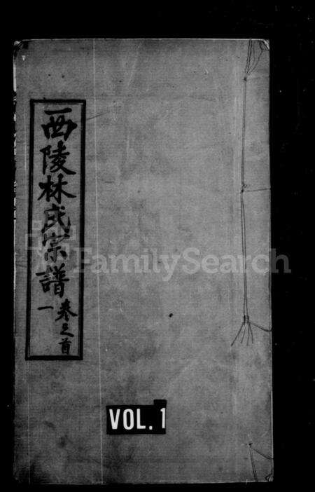 湖北林氏族谱-林氏宗谱 [10卷,首3卷](别名：西陵林氏宗谱).pdf电子版缩略图