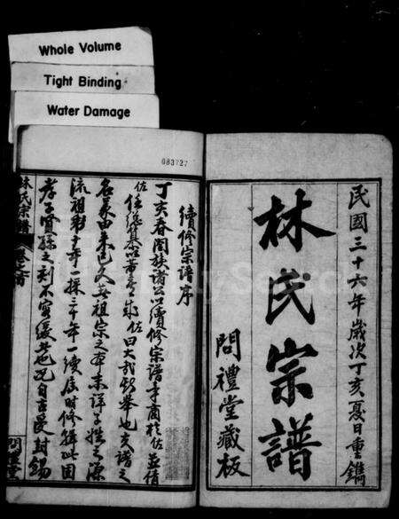 湖北林氏族谱-林氏宗谱 [10卷,首3卷](别名：西陵林氏宗谱).pdf电子版预览图1