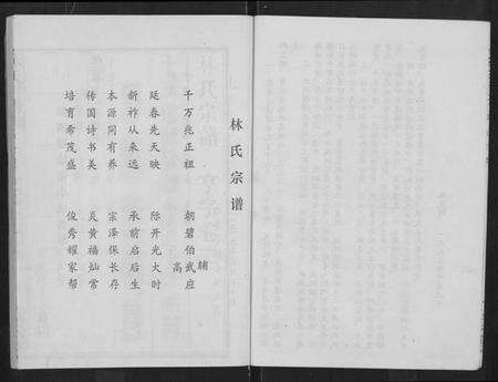 湖北林氏族谱-林氏宗谱 [残卷](Lin Shi Zong Pu).pdf电子版预览图4