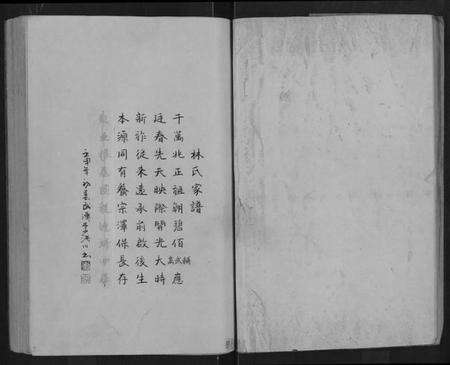 湖北林氏族谱-林氏宗谱 [残卷](别名：Lin Shi Zong Pu).pdf电子版预览图2