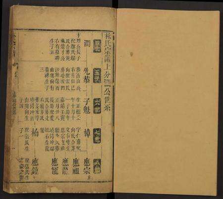 湖北林氏族谱-林氏宗谱[残卷](别名：Lin Shi Zong Pu).pdf电子版预览图1