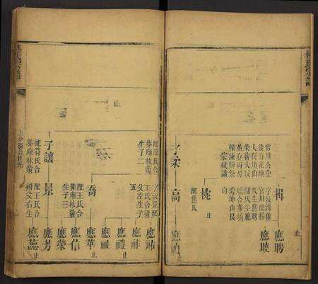 湖北林氏族谱-林氏宗谱[残卷](别名：Lin Shi Zong Pu).pdf电子版预览图2