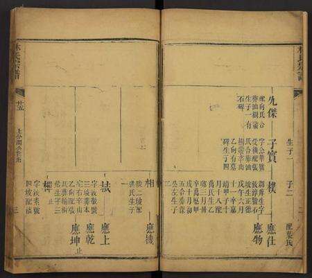 湖北林氏族谱-林氏宗谱[残卷](别名：Lin Shi Zong Pu).pdf电子版预览图3