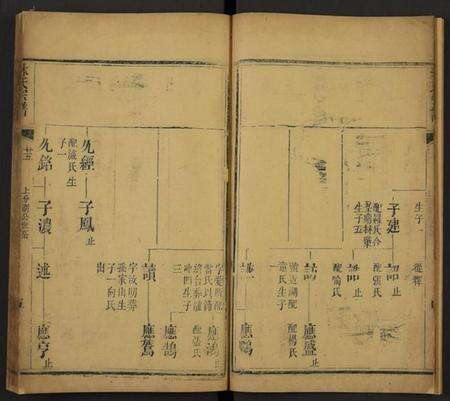 湖北林氏族谱-林氏宗谱[残卷](别名：Lin Shi Zong Pu).pdf电子版预览图5