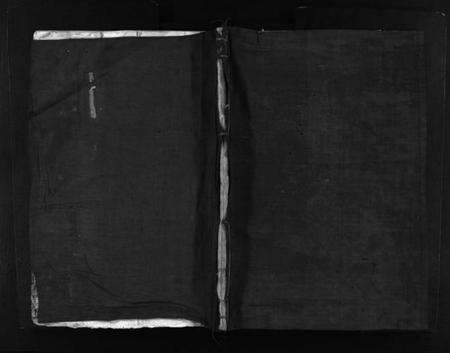 浙江万氏族谱-龙江万氏宗谱 [不分卷].pdf电子版预览图1