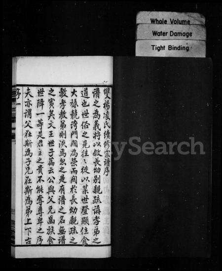 江苏凌氏族谱-凌氏宗谱 [18卷](别名：凌氏族谱).pdf电子版预览图2