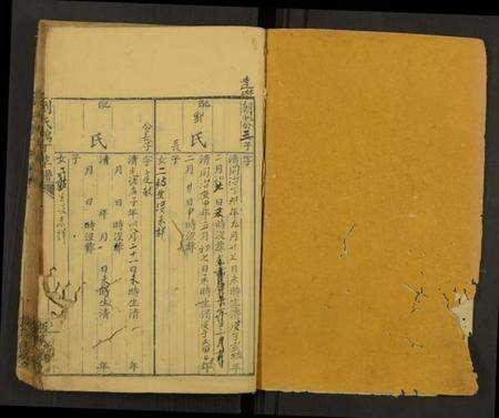 中国刘氏族谱-刘氏鸿丁草谱[总卷数不详](别名：Liu Shi Hong Ding Cao Pu、刘氏鸿丁草谱).pdf电子版预览图1