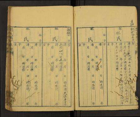 中国刘氏族谱-刘氏鸿丁草谱[总卷数不详](别名：Liu Shi Hong Ding Cao Pu、刘氏鸿丁草谱).pdf电子版预览图2