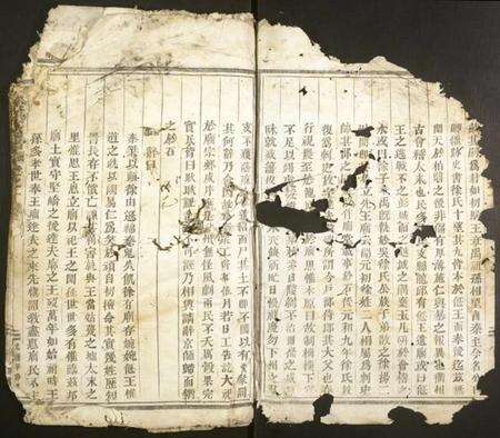 浙江徐氏族谱-龙陂徐氏宗谱.pdf电子版预览图1