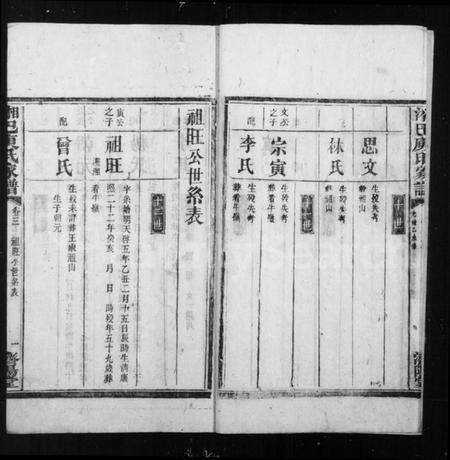 湖南庾氏族谱-湘巴庾氏家谱 [3卷,首1卷].pdf电子版预览图4