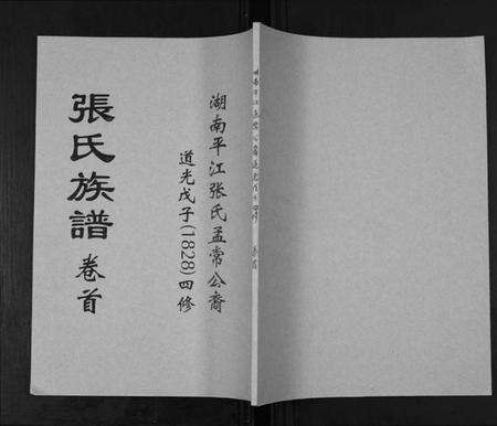 湖南张氏族谱-张氏族谱.pdf电子版缩略图