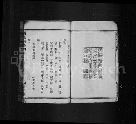 湖北刘氏族谱-刘氏宗谱 [30卷,首1卷](别名：刘氏总纂宗谱).pdf电子版预览图2