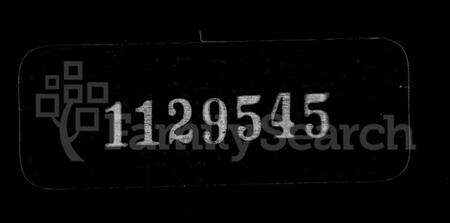江苏卢氏族谱-润州开沙卢氏宗谱 [12卷](别名：卢氏宗谱).pdf电子版缩略图