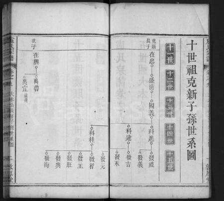 湖北卢氏族谱-卢氏宗谱 [11卷,首1卷](别名：Lu Shi Zong Pu).pdf电子版预览图2