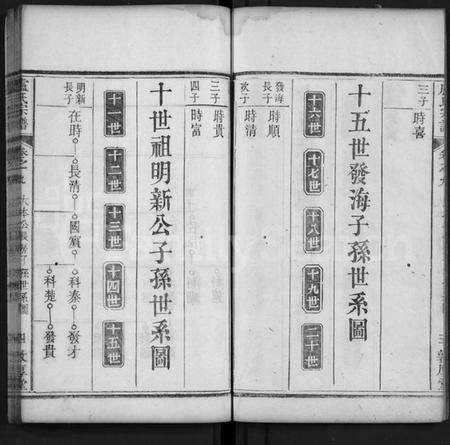 湖北卢氏族谱-卢氏宗谱 [11卷,首1卷](别名：Lu Shi Zong Pu).pdf电子版预览图4