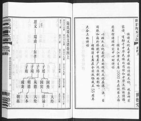 江苏陆氏族谱-陆氏墙东支谱 [残卷](别名：墙东类稿、澄江陆氏墙东支谱).pdf电子版预览图2