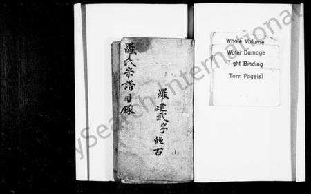 四川罗氏族谱-罗氏家谱(别名：罗氏宗谱、金盘罗氏宗谱).pdf电子版预览图1