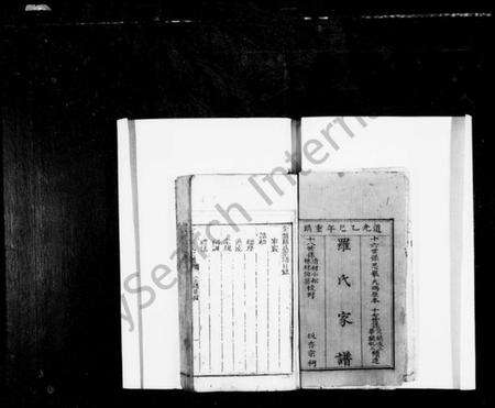 四川罗氏族谱-罗氏家谱(别名：罗氏宗谱、金盘罗氏宗谱).pdf电子版预览图2