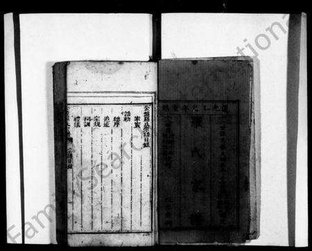 四川罗氏族谱-罗氏家谱(别名：罗氏宗谱、金盘罗氏宗谱).pdf电子版预览图3