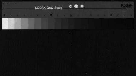 湖北罗氏族谱-罗氏续修宗谱 [42卷,首6卷](别名：湖北黄冈县钓鱼台罗氏第二次续修宗谱、Luo Shi Xu Xiu Zong Pu、罗氏续修宗谱、罗氏宗谱).pdf电子版缩略图
