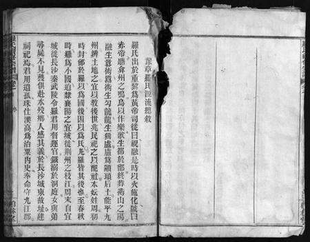 湖北罗氏族谱-罗氏续修宗谱 [42卷,首6卷](别名：湖北黄冈县钓鱼台罗氏第二次续修宗谱、Luo Shi Xu Xiu Zong Pu、罗氏续修宗谱、罗氏宗谱).pdf电子版预览图5