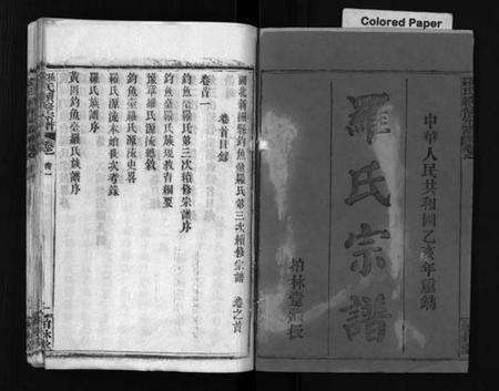 湖北罗氏族谱-湖北新洲县钓鱼台罗氏第三次续修宗谱 [62卷,首6卷](别名：罗氏宗谱、Hu Bei Xin Zhou Xian Diao Yu Tai Luo Shi Di San Ci Xu Xiu Zong Pu、罗氏续修宗谱、湖北新洲县钓鱼台罗氏第三次续修宗谱).pdf电子版预览图2