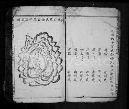 湖北罗氏族谱-罗氏宗谱(罗氏族修宗谱).pdf电子版预览图5