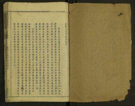 湖北罗氏族谱-东安王氏宗谱 [1册](别名：东安王氏丁卯十修宗谱).pdf电子版预览图1