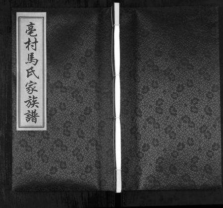 江苏马氏族谱-亳村马氏家族谱[1册](别名：Bo Cun Ma Shi Jia Zu Pu、亳村马氏家族谱).pdf电子版缩略图