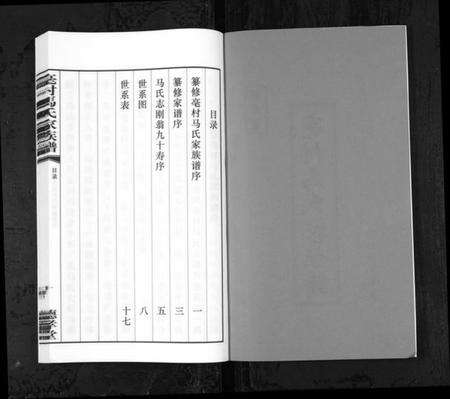 江苏马氏族谱-亳村马氏家族谱[1册](别名：Bo Cun Ma Shi Jia Zu Pu、亳村马氏家族谱).pdf电子版预览图2