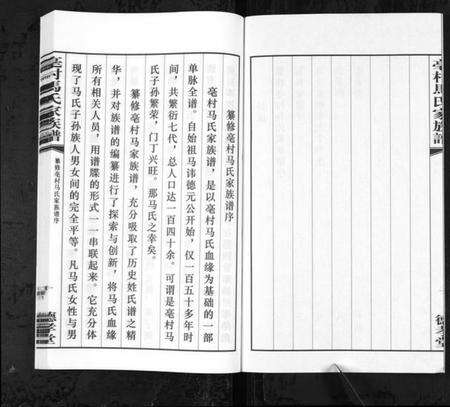 江苏马氏族谱-亳村马氏家族谱[1册](别名：Bo Cun Ma Shi Jia Zu Pu、亳村马氏家族谱).pdf电子版预览图3