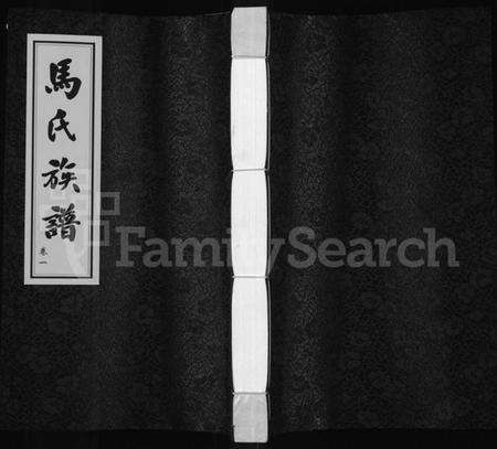 江苏马氏族谱-马氏族谱 [2卷](桃林马氏三修家谱).pdf电子版缩略图