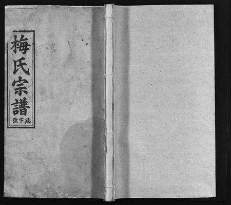 湖北梅氏族谱-梅氏宗谱 [12卷](别名：Mei Shi Zong Pu).pdf电子版预览图1