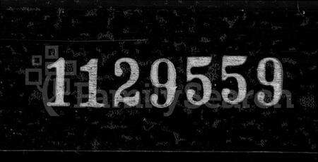 江苏缪氏族谱-东兴缪氏润州支谱 [16卷,首末各1卷,另加附录](别名：缪氏宗谱).pdf电子版