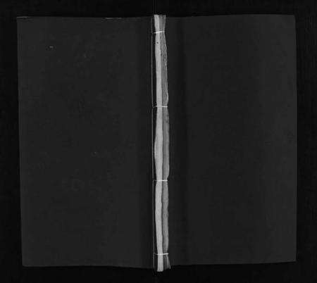 湖北倪氏族谱-倪氏宗谱 [5卷,首1卷](别名：Ni Shi Zong Pu).pdf电子版预览图1