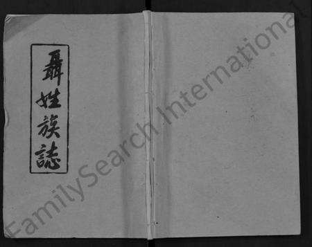 湖北聂氏族谱-聂氏族志 [11卷,首1卷](别名：Nie Shi Zu Zhi).pdf电子版缩略图