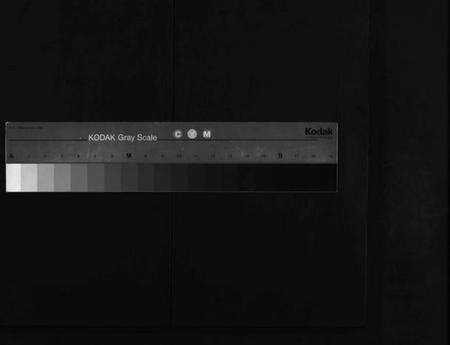 湖北潘氏族谱-潘氏兴分丁丑宗谱 [13卷,首5卷](别名：潘氏兴分宗谱、义水潘氏总传、罗田潘氏兴分五修宗谱、Pan Shi Xing Fen Ding Chou Zong Pu、潘氏宗谱、潘氏兴分丁丑宗谱).pdf电子版缩略图