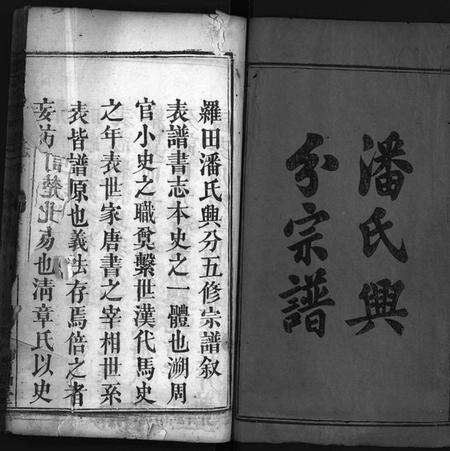 湖北潘氏族谱-潘氏兴分丁丑宗谱 [13卷,首5卷](别名：潘氏兴分宗谱、义水潘氏总传、罗田潘氏兴分五修宗谱、Pan Shi Xing Fen Ding Chou Zong Pu、潘氏宗谱、潘氏兴分丁丑宗谱).pdf电子版预览图2