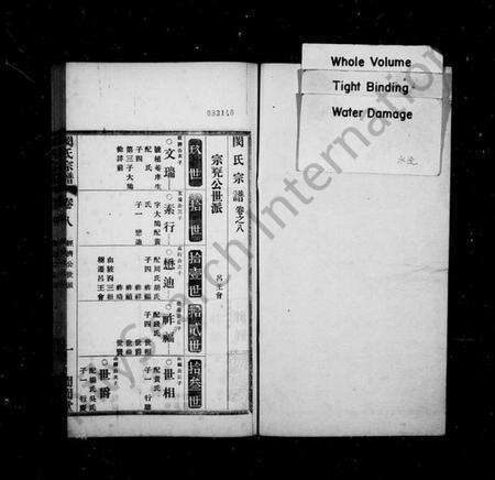 湖北邱氏族谱-邱氏宗谱(别名：感化分邱氏宗谱续编).pdf电子版预览图5