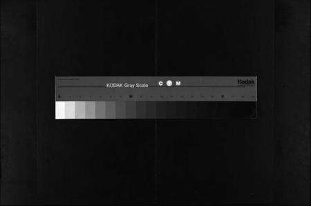 湖北邱氏族谱-邱氏族谱 [10卷,及卷首](别名：Qiu Shi Zu Pu).pdf电子版缩略图