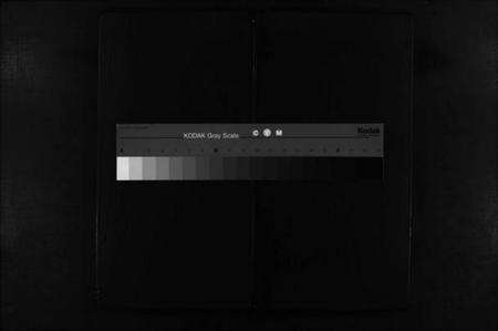 湖北阮氏族谱-阮氏宗谱 [残卷](别名：Ruan Shi Zong Pu).pdf电子版