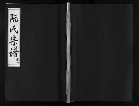 湖北阮氏族谱-阮氏宗谱 [残卷](别名：Ruan Shi Zong Pu).pdf电子版预览图1