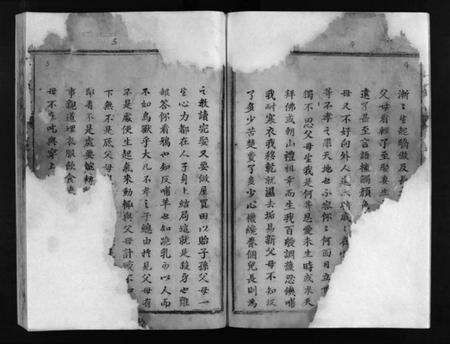 湖北阮氏族谱-阮氏宗谱 [残卷](别名：Ruan Shi Zong Pu).pdf电子版预览图4