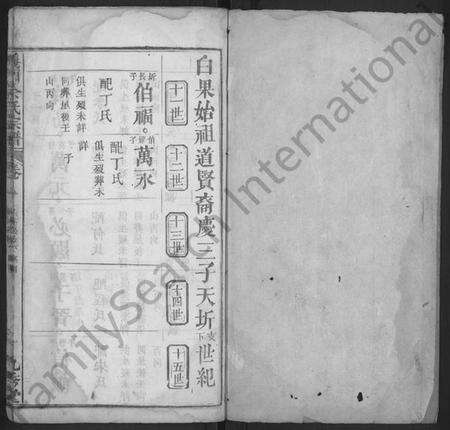 湖北佘氏族谱-义门佘氏宗谱 [10卷,含卷首](别名：佘氏宗谱).pdf电子版预览图1