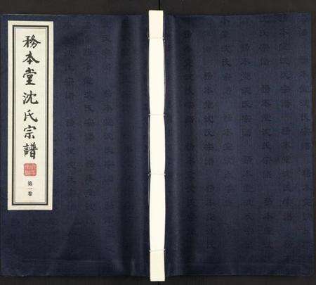 江苏沈氏族谱-沈氏宗谱 [13卷](别名：务本堂沈氏宗谱).pdf电子版缩略图