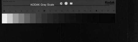 湖北沈氏族谱-沈氏宗谱 [13卷,含首1卷](别名：沈氏三修宗谱、Shen Shi Zong Pu).pdf电子版缩略图