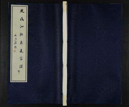 江苏史氏族谱-史氏泗阳东支宗谱 [8卷,含卷首](别名：史氏宗谱).pdf电子版缩略图