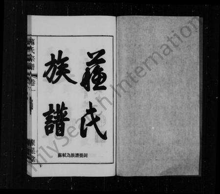 江苏苏氏族谱-苏氏宗谱[11卷](别名：江阴苏氏宗谱).pdf电子版预览图2